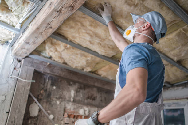 Best Residential Insulation Services  in Viola, NY